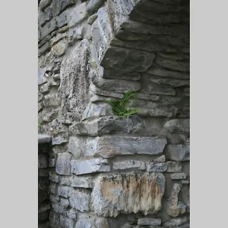 Vila Casale Delle Farfalle Tornolo